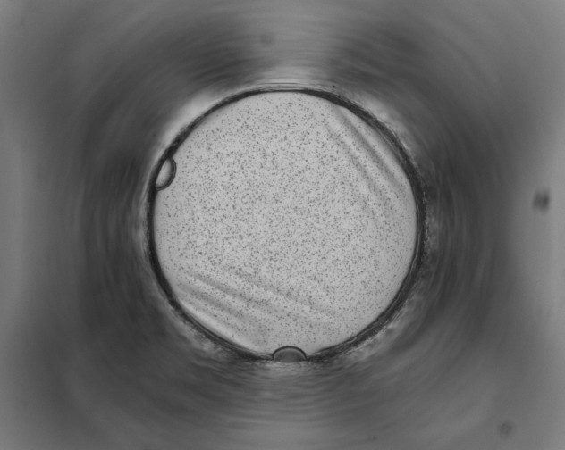 X0000101191469200807250951