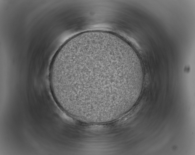 X0000101191470200807250951