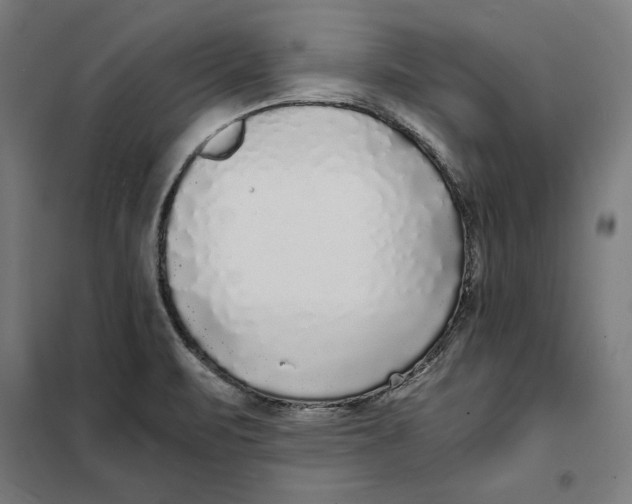X0000101191471200807250951