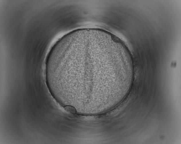 X0000101191472200807250951