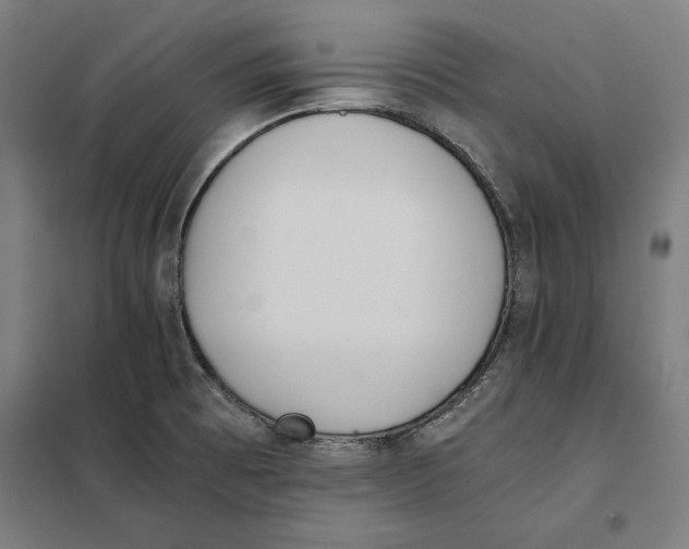 X0000101191473200807250951