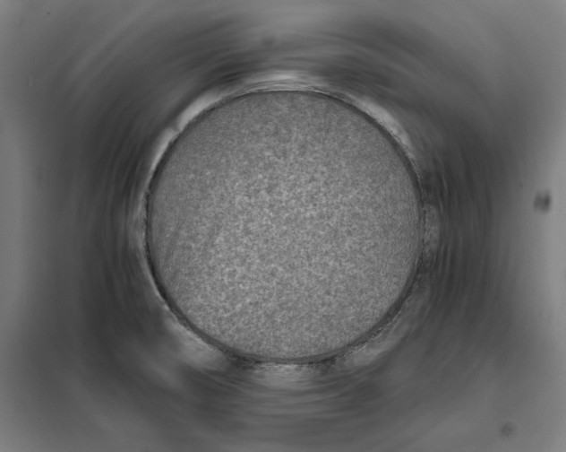 X0000101191474200807250951