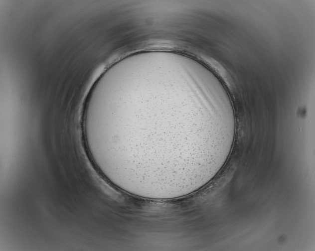 X0000101191475200807250951