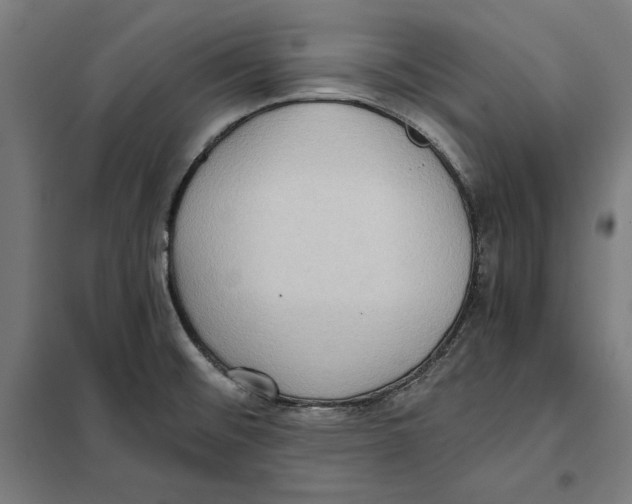 X0000101191476200807250951