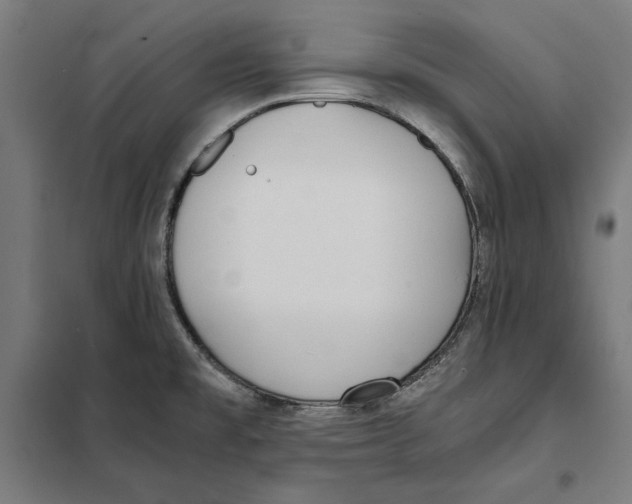 X0000101191477200807250951