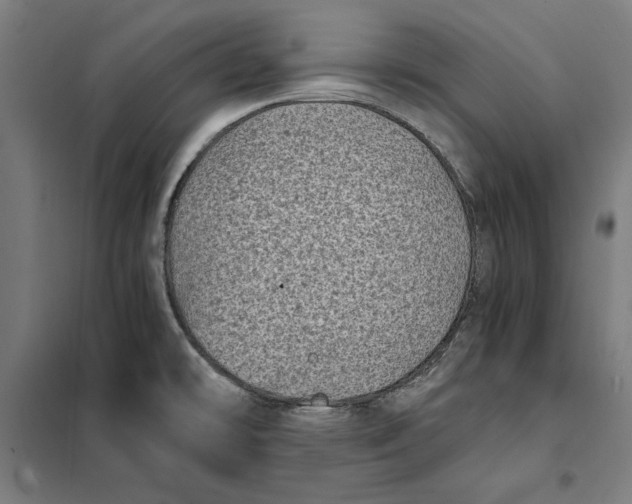 X0000101191478200807250951