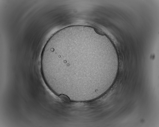 X0000101191479200807250951