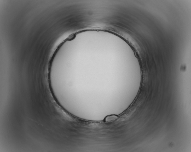 X0000101191480200807250951