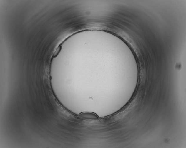 X0000101191481200807250951