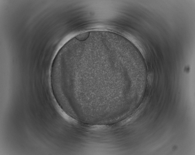 X0000101191482200807250951