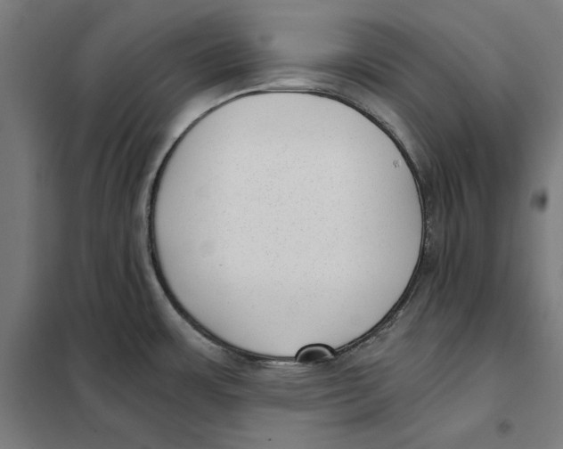 X0000101191483200807250951