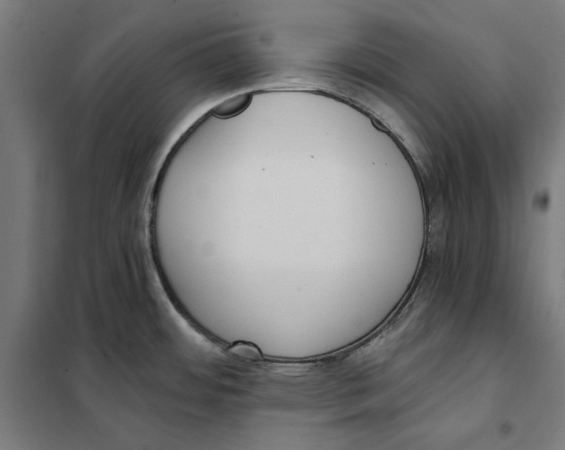 X0000101191484200807250951