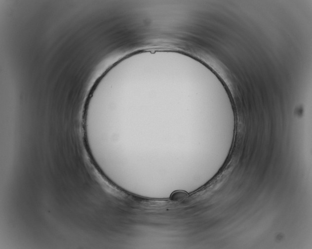 X0000101191485200807250951