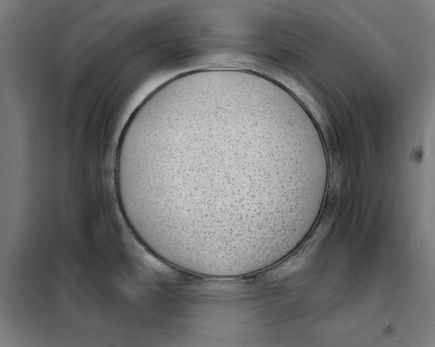 X0000101191486200807250951