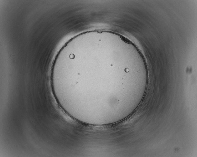 X0000101191488200807250951