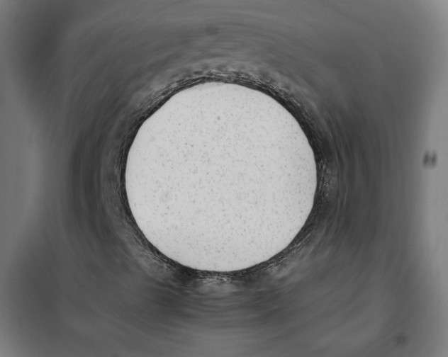 X0000101191489200807250950