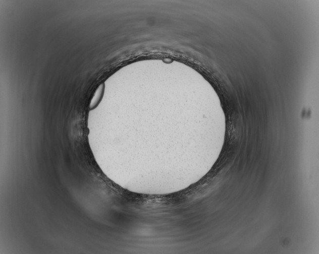 X0000101191490200807250950