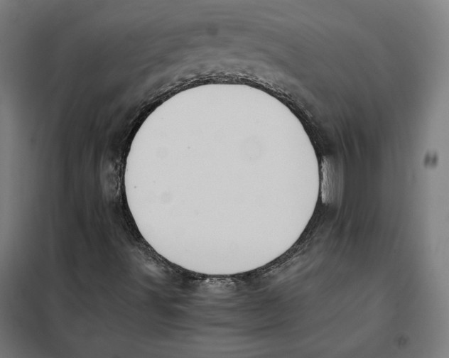 X0000101191491200807250950