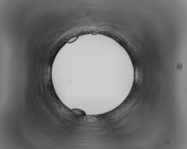 X0000101191492200807250950