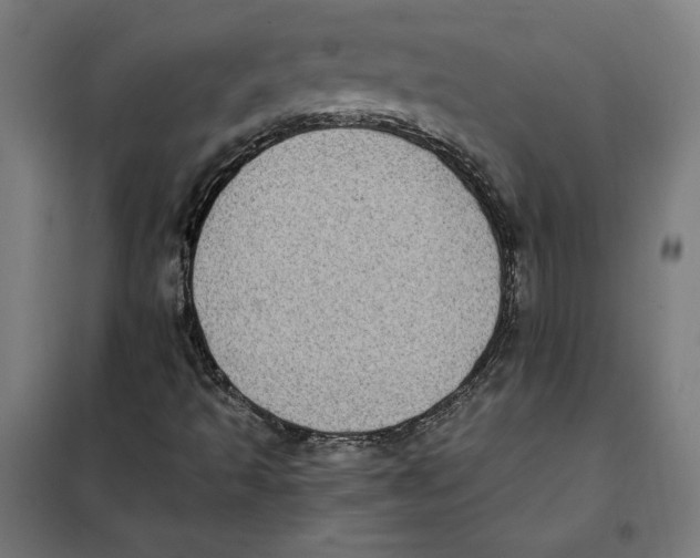 X0000101191493200807250950