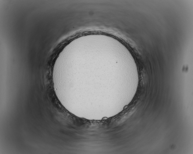 X0000101191494200807250950