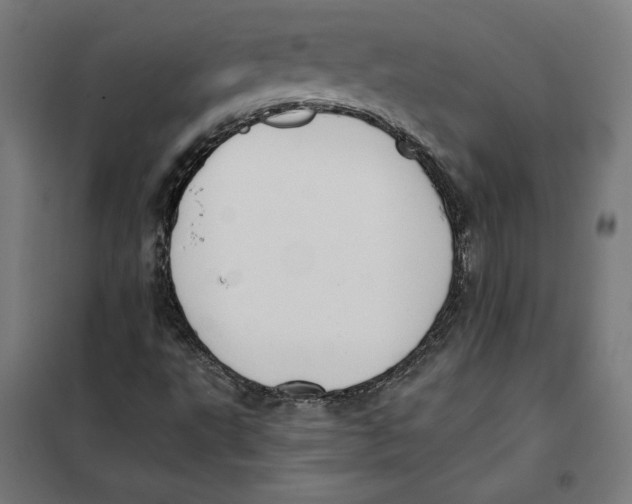 X0000101191495200807250950