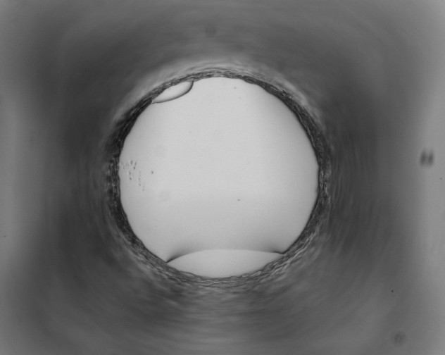 X0000101191496200807250950