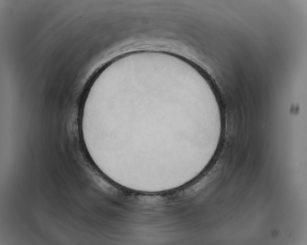 X0000101191498200807250950