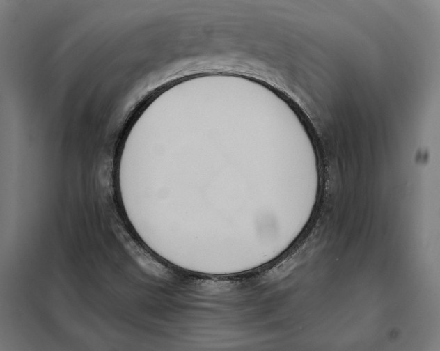 X0000101191499200807250950