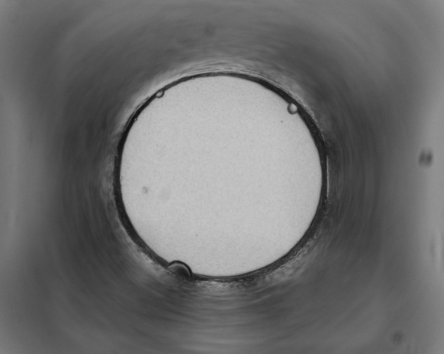 X0000101191500200807250950