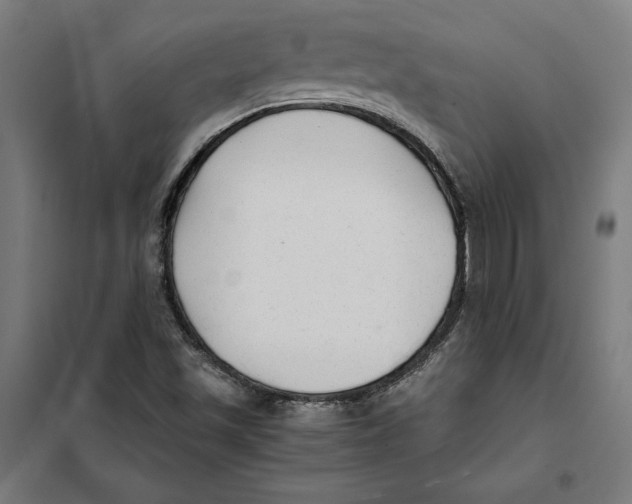 X0000101191501200807250950