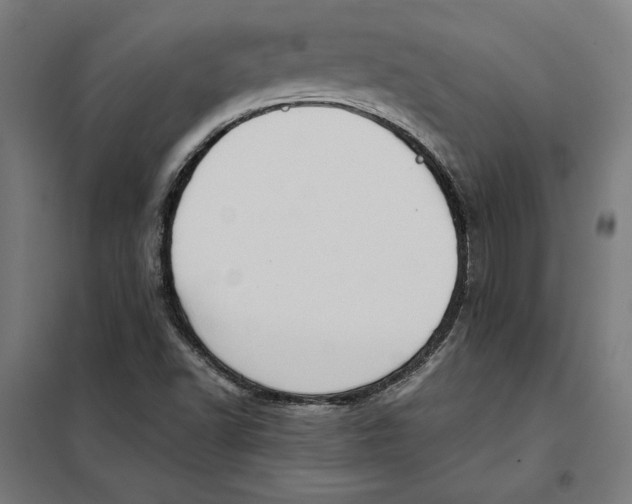 X0000101191502200807250950