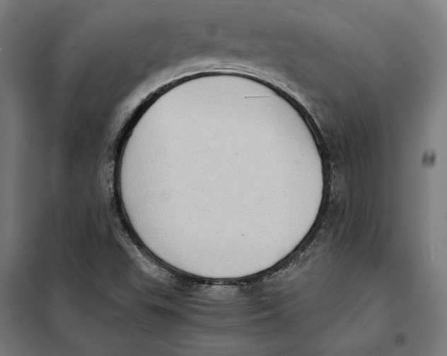 X0000101191503200807250950