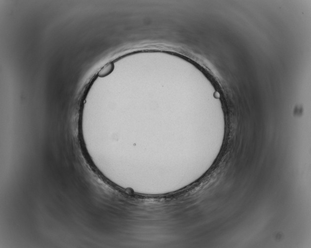 X0000101191504200807250950