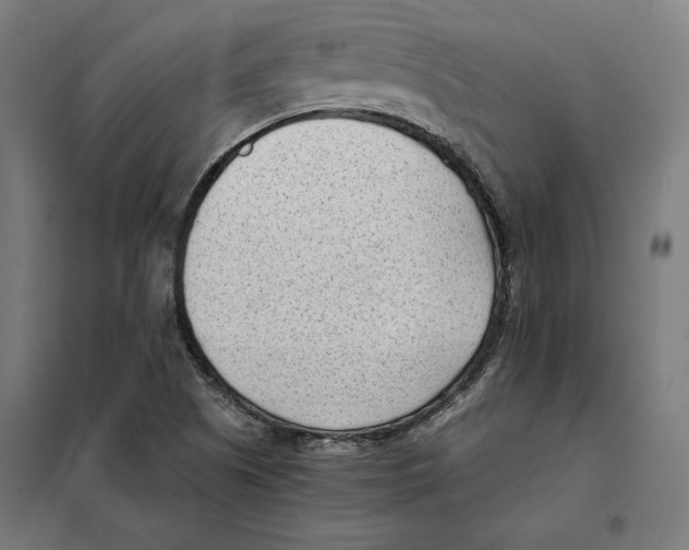 X0000101191505200807250950
