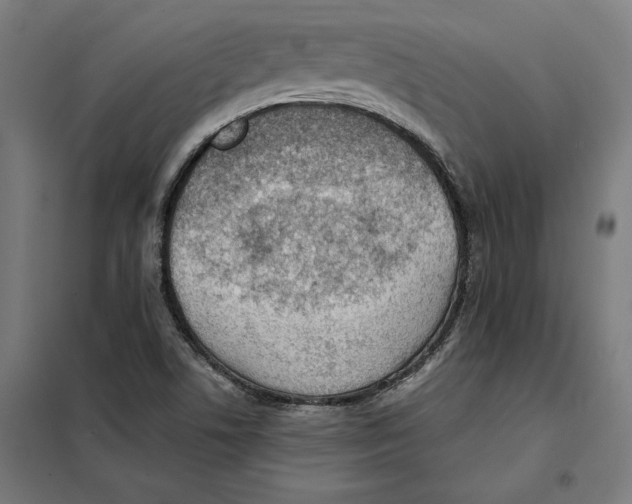 X0000101191506200807250951
