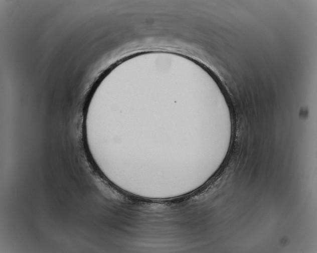 X0000101191507200807250951