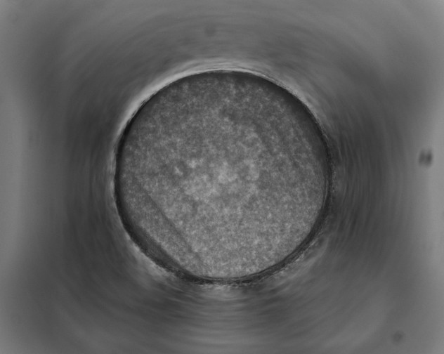 X0000101191508200807250951