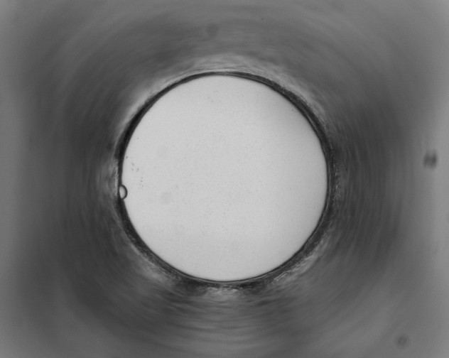 X0000101191509200807250951