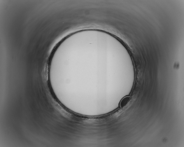 X0000101191510200807250951