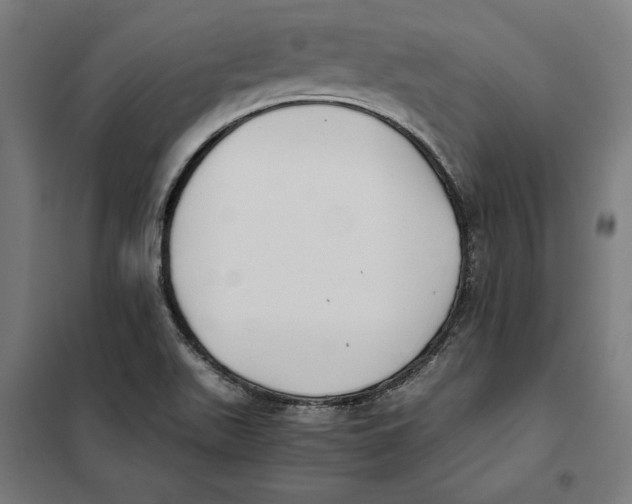 X0000101191511200807250951