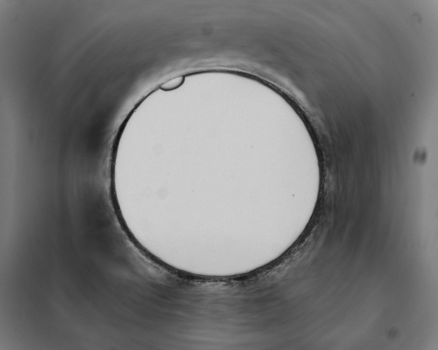 X0000101191512200807250951