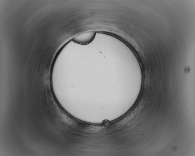 X0000101191513200807250951