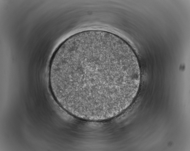 X0000101191514200807250951