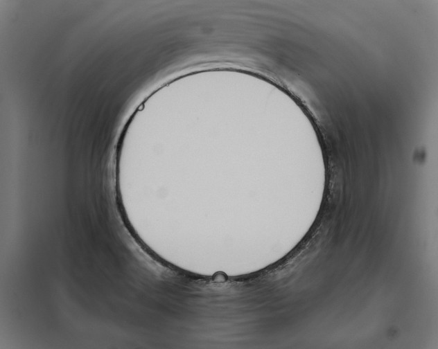 X0000101191516200807250951