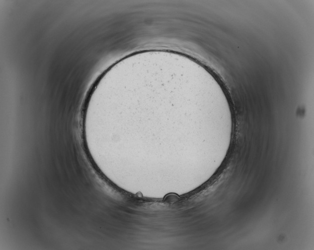 X0000101191517200807250951