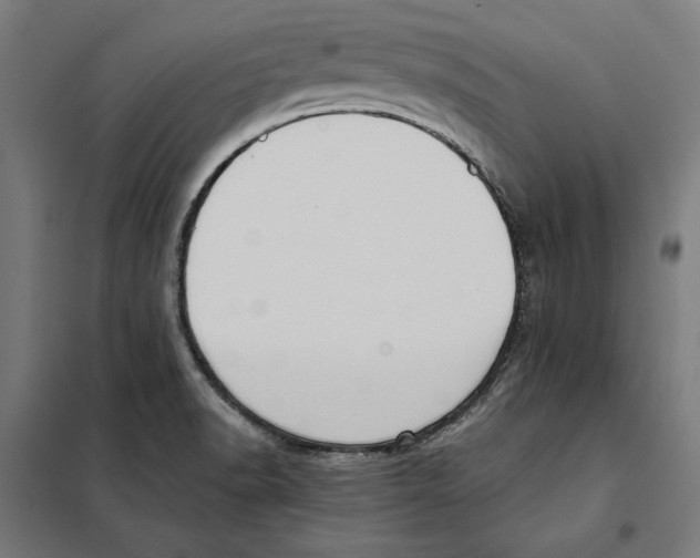 X0000101191518200807250951