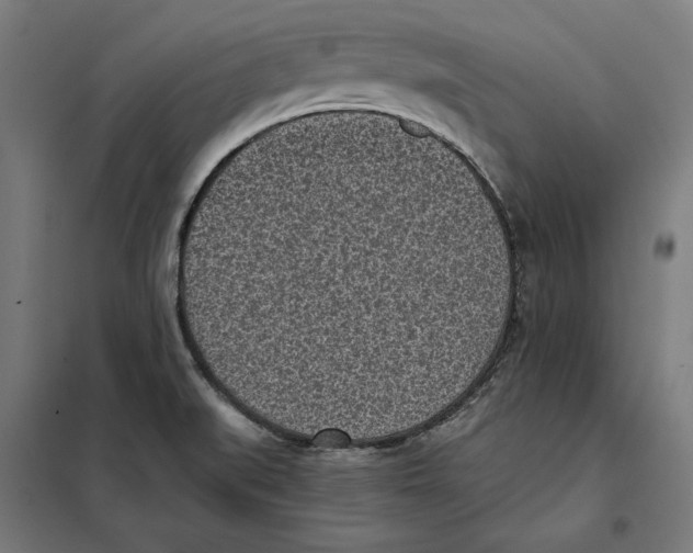 X0000101191519200807250951