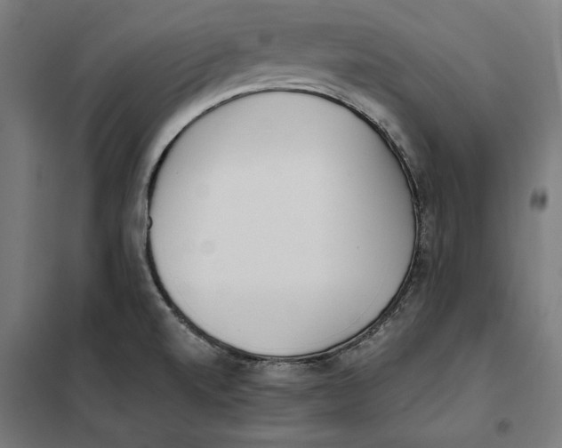 X0000101191520200807250951