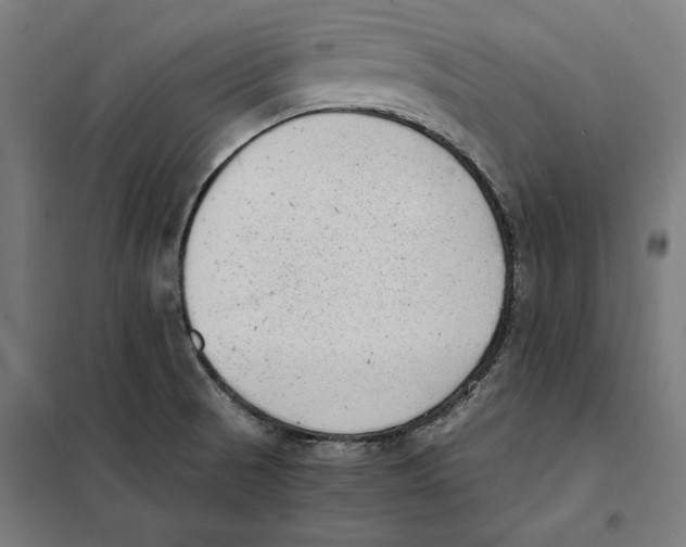 X0000101191521200807250951